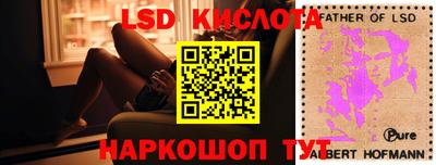 стафф Нальчик