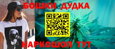 стафф Нальчик